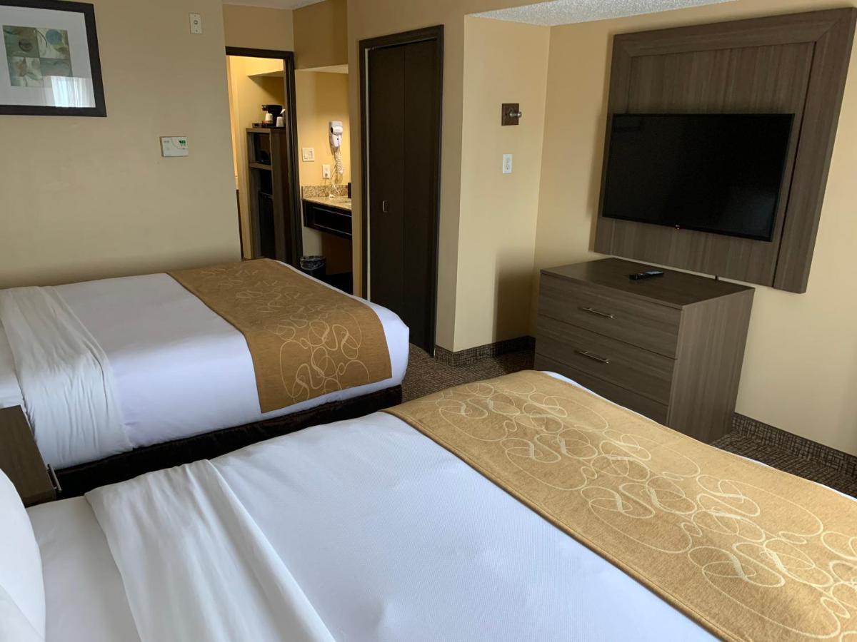 Comfort Suites Dfw Airport Ървинг Екстериор снимка