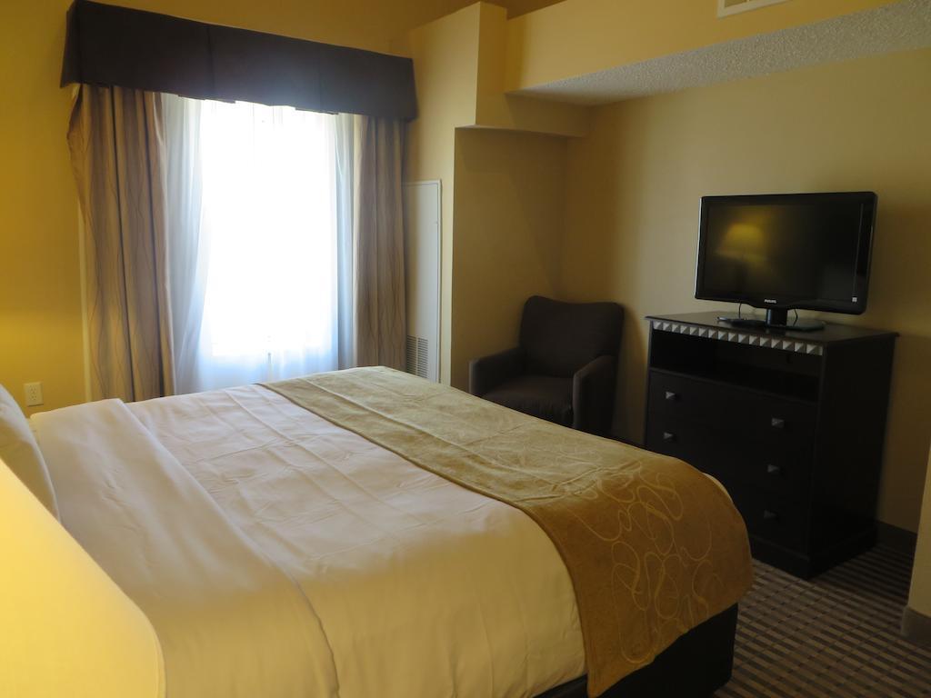 Comfort Suites Dfw Airport Ървинг Екстериор снимка
